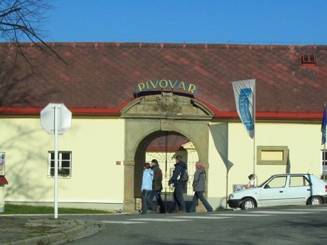 foto11.jpg
