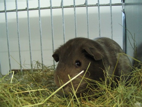 foto2.jpg