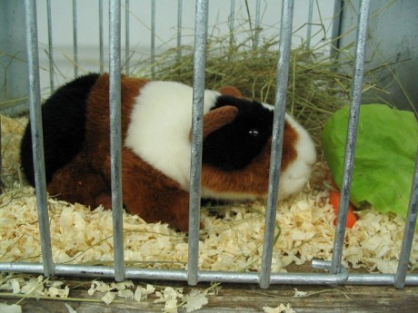 foto7.jpg