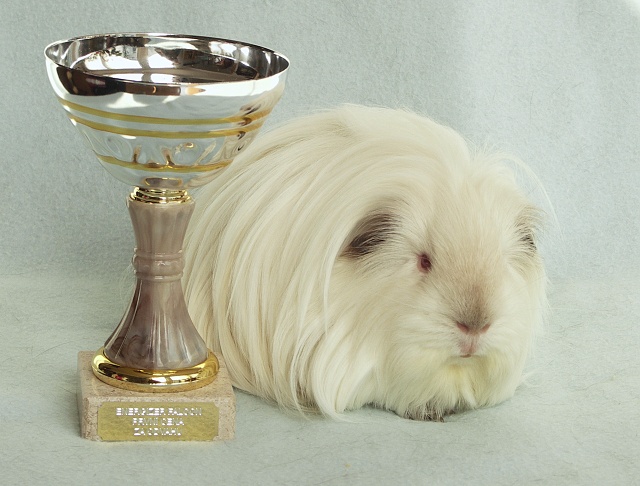 Enouš