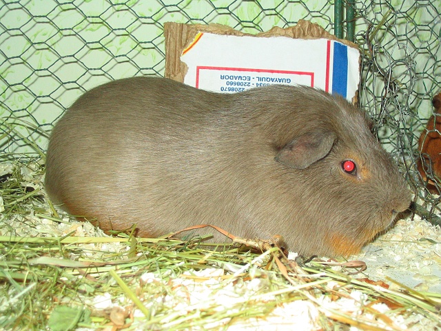 foto1.jpg