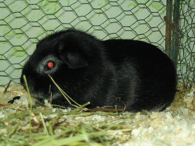 foto2.jpg