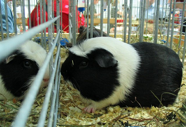 foto7.jpg